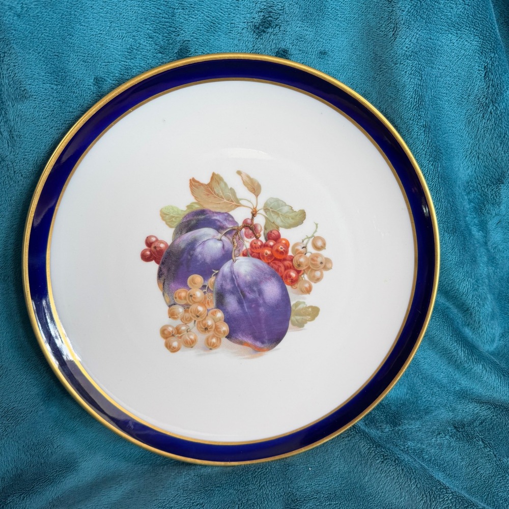 Schumann Arzberg Germany Echt Cobalt Bountiful Dinner Plates Fruit Gold Trim 10"